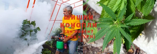 мяу мяу мука Алзамай