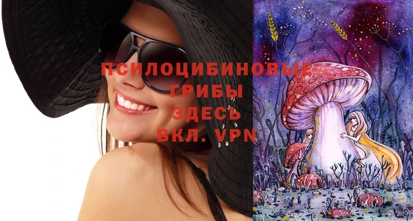 бошки Алексеевка