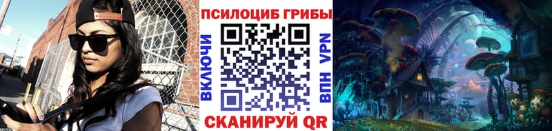 Галлюциногенные грибы мицелий  KRAKEN онион  Венёв 